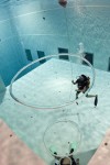 Nemo 33
